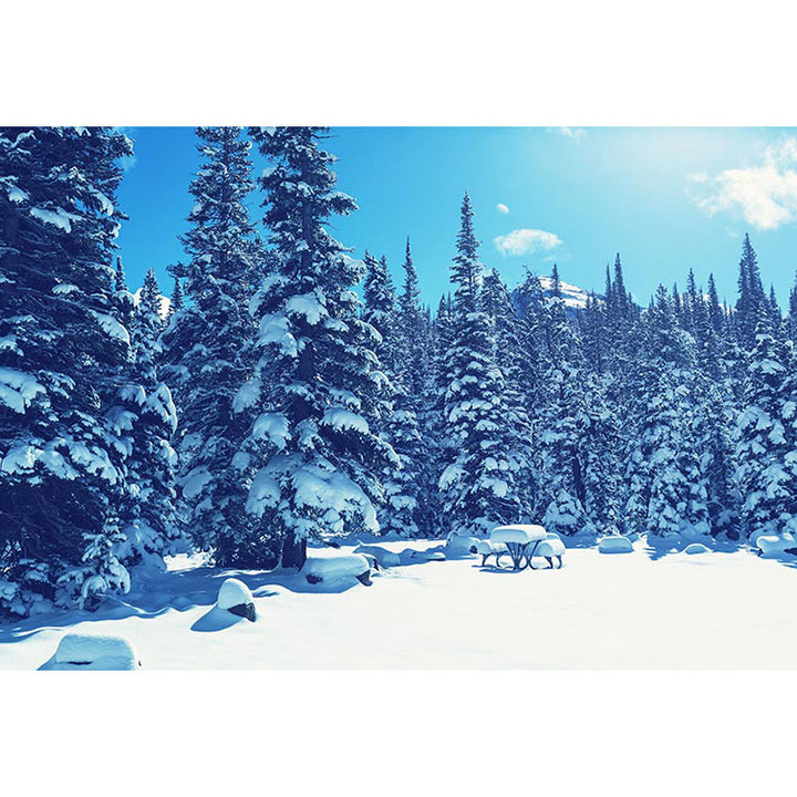 Avezano Snowy Pine Forest In Winter Photography Backdrop-AVEZANO
