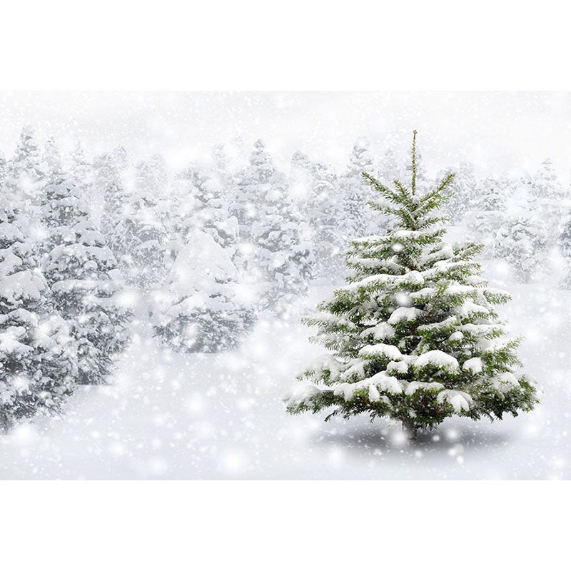 Avezano Snowy Pine Forest In Winter Photography Backdrop-AVEZANO