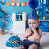 Avezano Cookie Monster Backdrop for Photography By Paula Easton