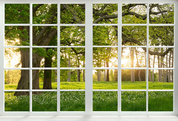 Avezano View Of White Lattice Windows Spring Photography Backdrop-2-AVEZANO