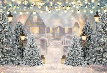 Avezano Snowy Cottage On Christmas Exterior Photography Background-AVEZANO