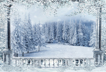 Avezano Snowy Trees Outside The Hallway In Winter Photography Background-AVEZANO