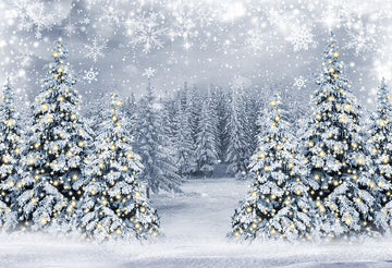 Avezano Christmas Tree In The Snow In Winter Photography Background-AVEZANO